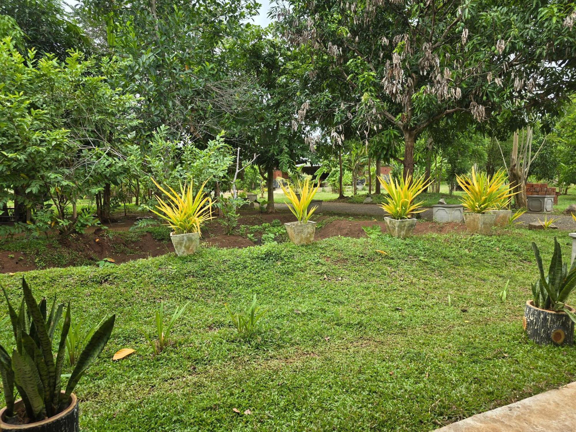 Ceylon Resort วิลปัตตู ภายนอก รูปภาพ