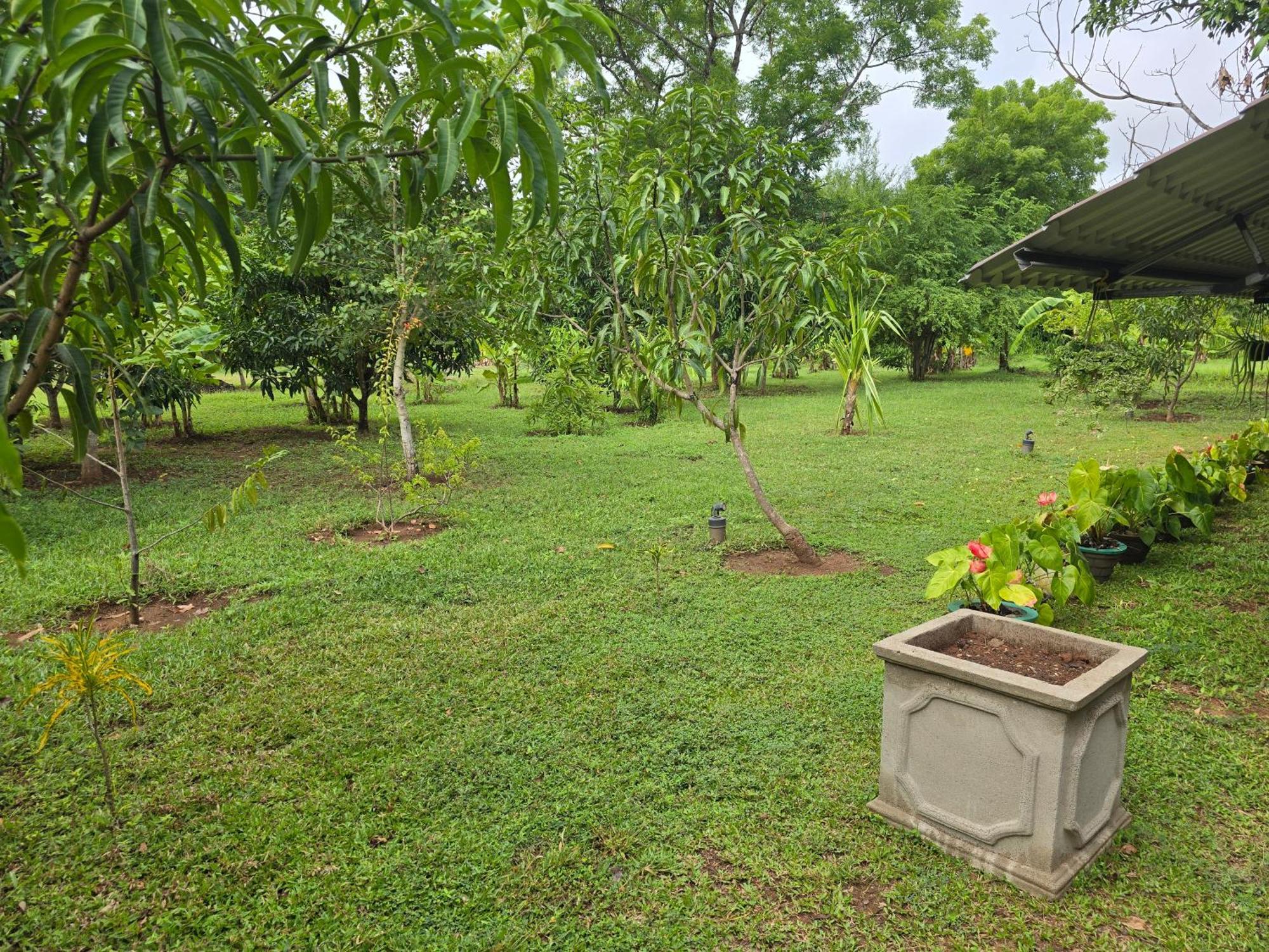 Ceylon Resort วิลปัตตู ภายนอก รูปภาพ